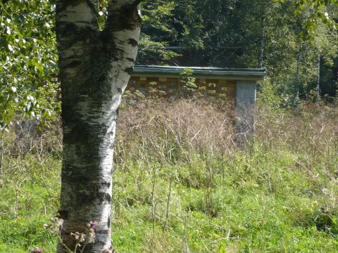Foto 33